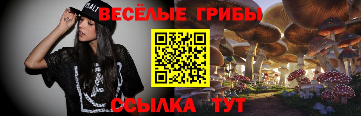 Галлюциногенные грибы мухоморы Владимир